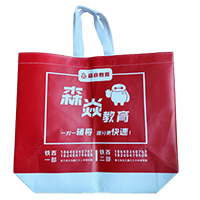 北辰LB37培训班广告袋